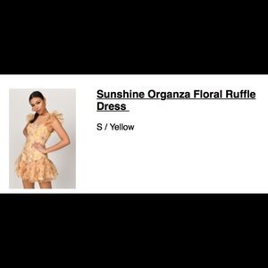 Sunshine Organza Floral Ruffle Dress